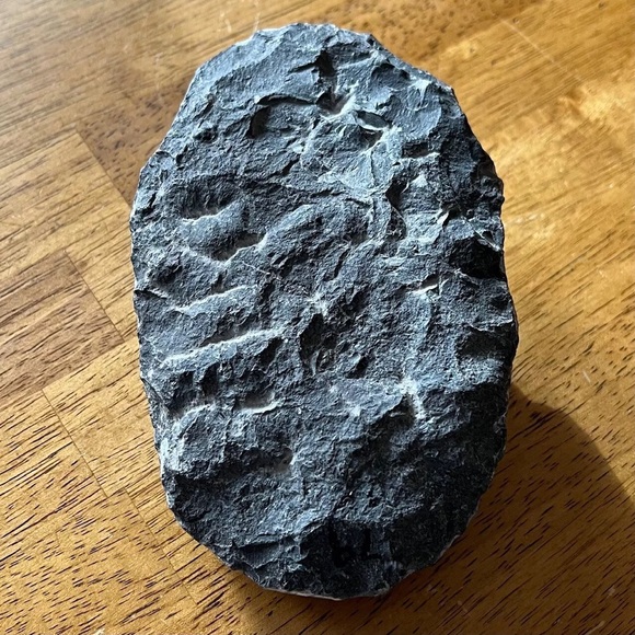 Trilobite fossil - Picture 12 of 14